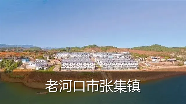 老河口市张集镇