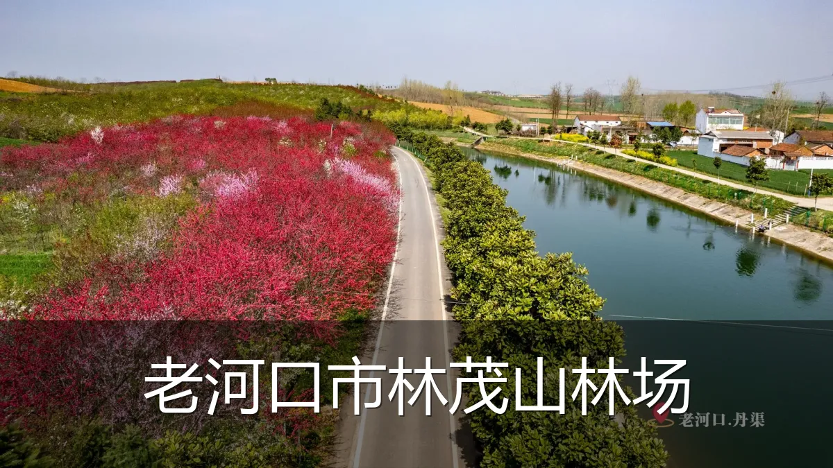 老河口市林茂山林场