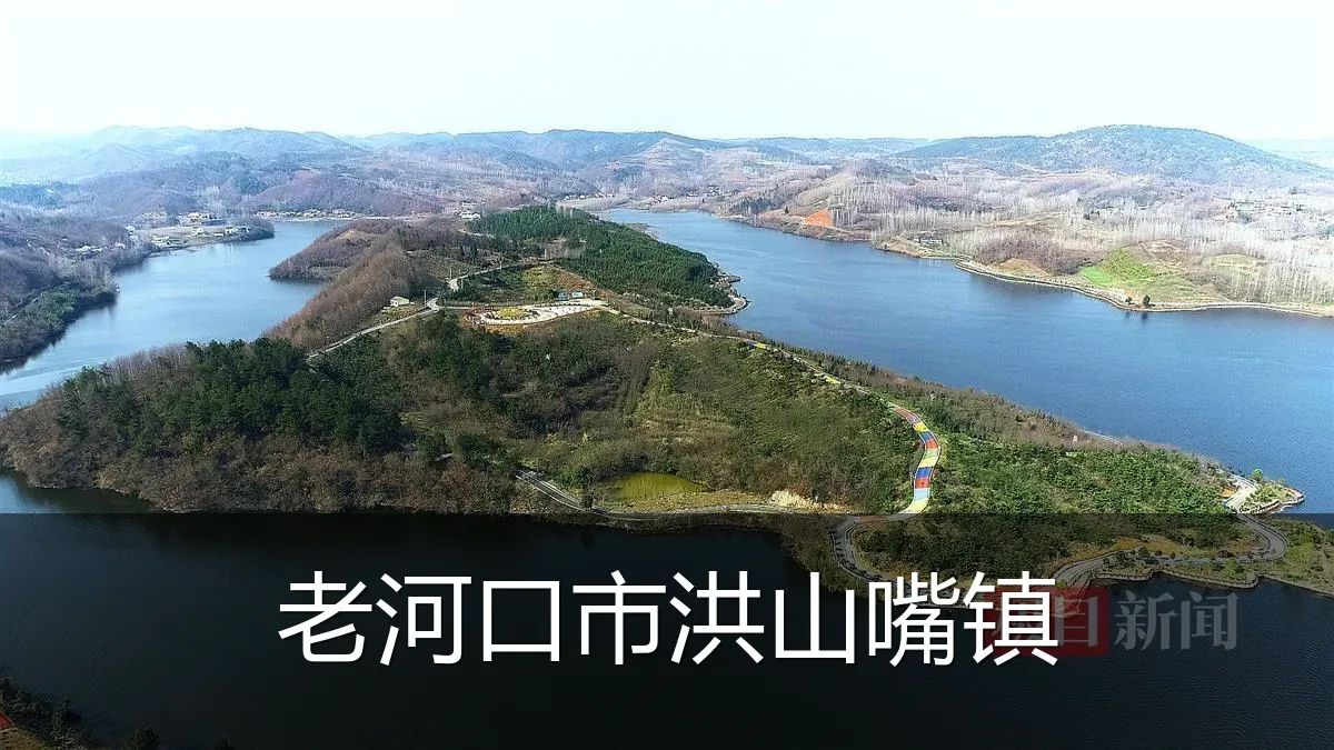 老河口市洪山嘴镇